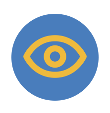 Vision Icon